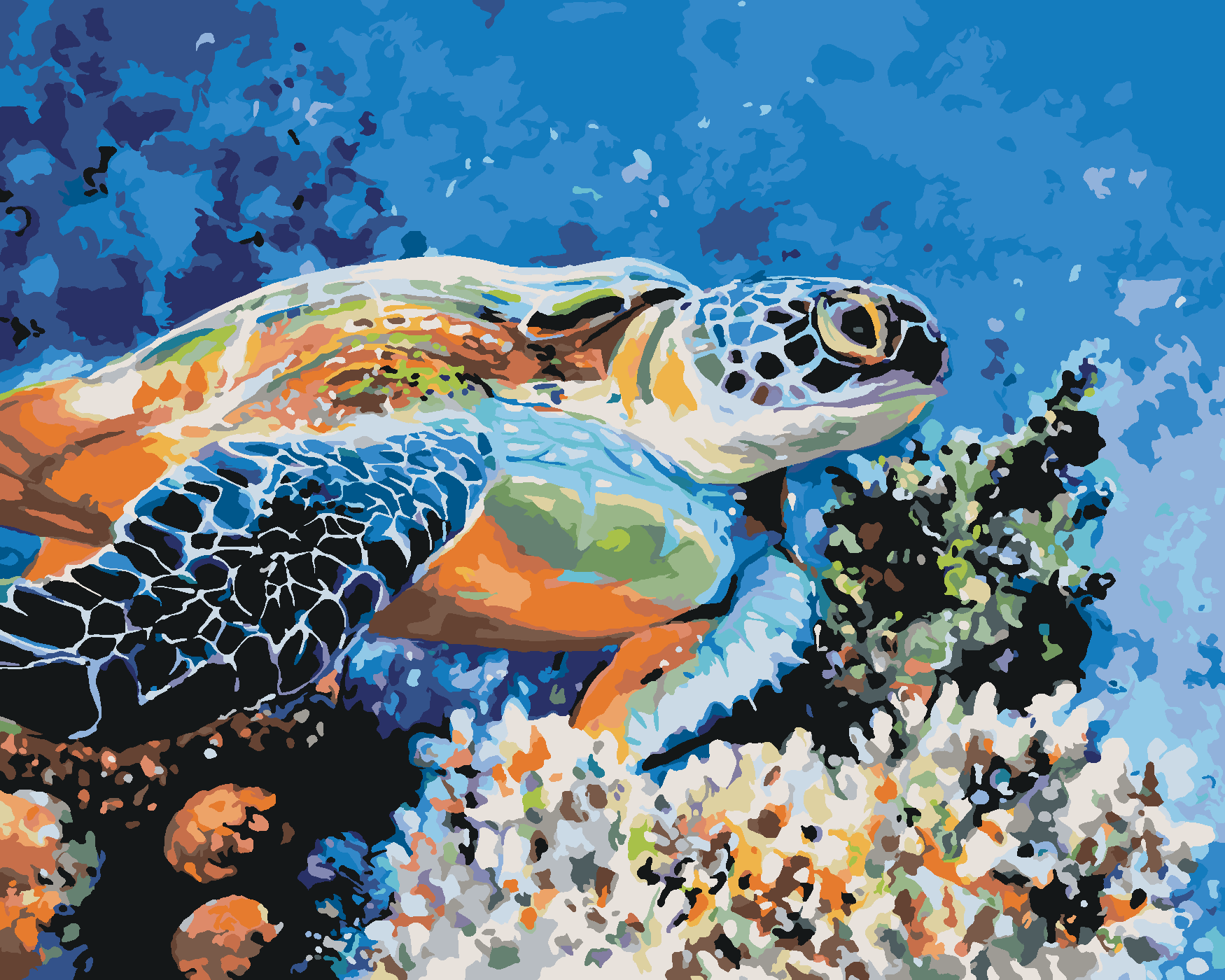 Malování podle čísel - MOŘSKÁ ŽELVA Rozměr: 40x50 cm, Rámování: bez rámu a bez vypnutí plátna