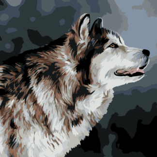 Malování podle čísel - VYHLÍŽEJÍCÍ HUSKY Rozměr: 40x50 cm, Rámování: vypnuté plátno na rám