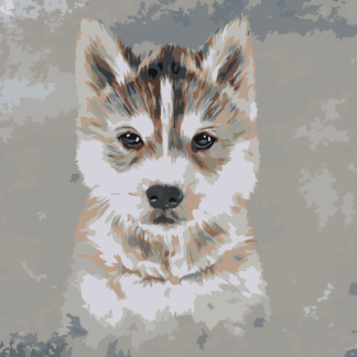 Malování podle čísel - HUSKY NA ŠEDÉM POZADÍ Rozměr: 80x100 cm, Rámování: vypnuté plátno na rám