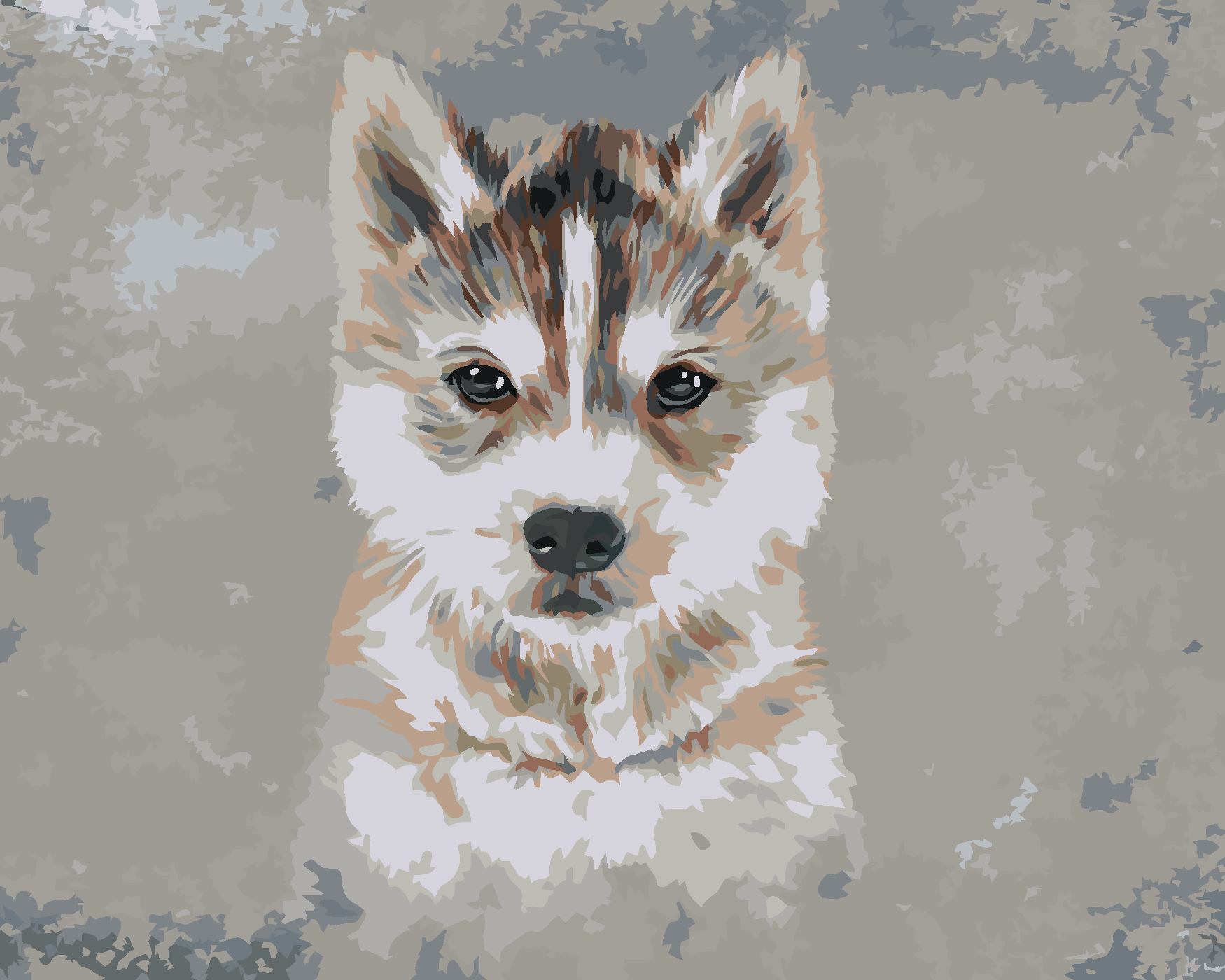 Malování podle čísel - HUSKY NA ŠEDÉM POZADÍ Rozměr: 80x100 cm, Rámování: vypnuté plátno na rám