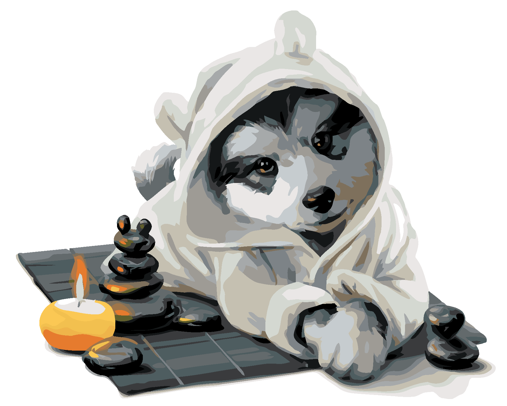 Malování podle čísel - HUSKY RELAXUJE Rozměr: 40x50 cm, Rámování: vypnuté plátno na rám