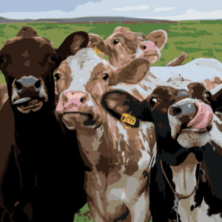 Malování podle čísel - KRÁVA A JEJÍ KAMARÁDI Rozměr: 80x100 cm, Rámování: vypnuté plátno na rám