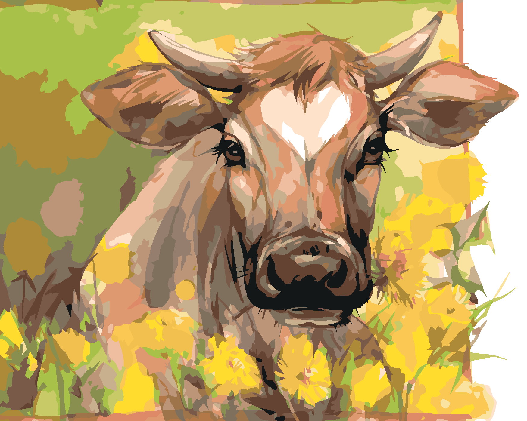 Malování podle čísel - KRÁVA MEZI ŽLUTÝM KVÍTÍM Rozměr: 40x50 cm, Rámování: bez rámu a bez vypnutí plátna