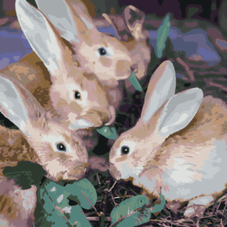 Malování podle čísel - KRÁLIČÍ PARTA Rozměr: 40x50 cm, Rámování: bez rámu a bez vypnutí plátna