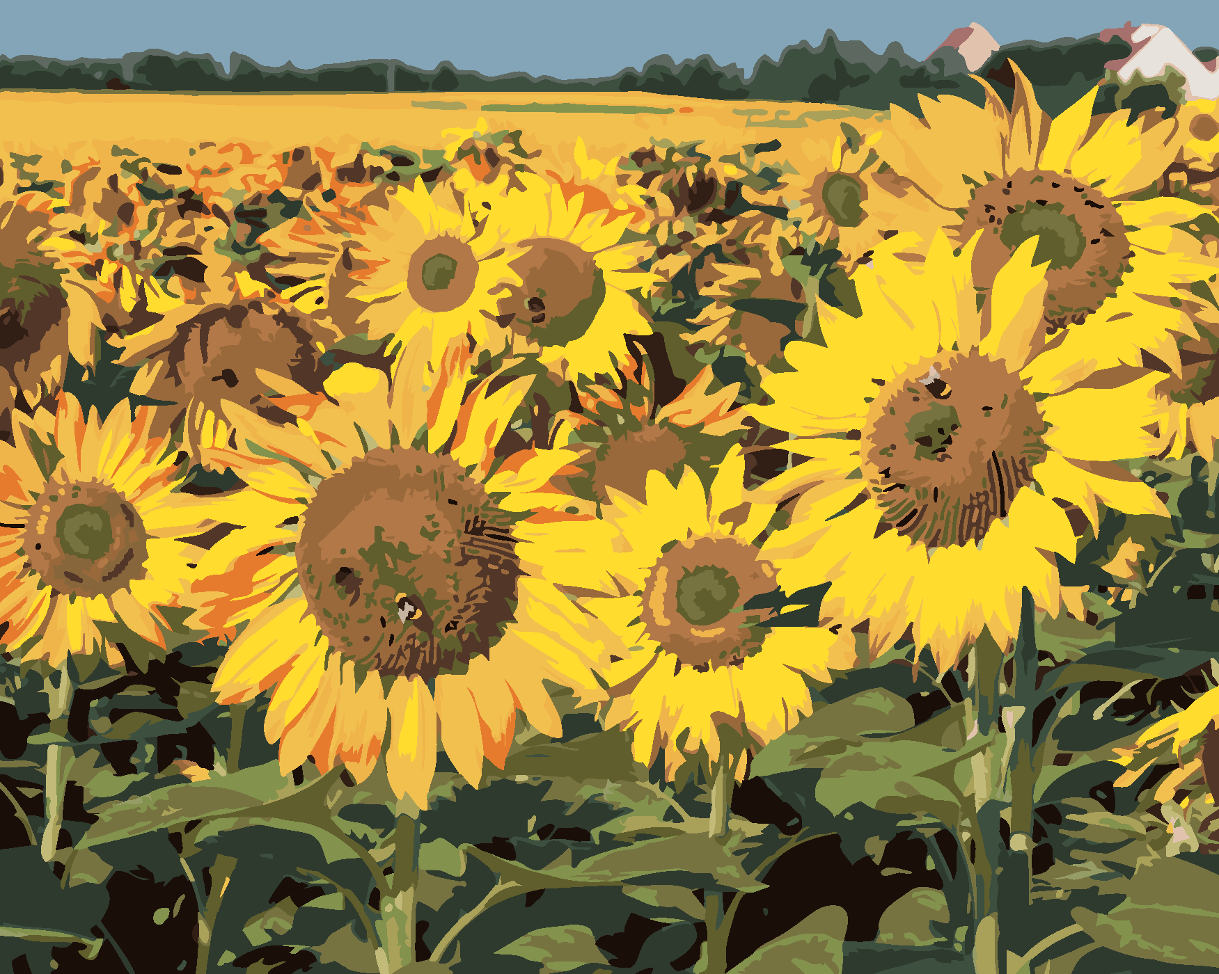 Malování podle čísel - SLUNEČNICE NA POLI 2 Rozměr: 40x50 cm, Rámování: vypnuté plátno na rám