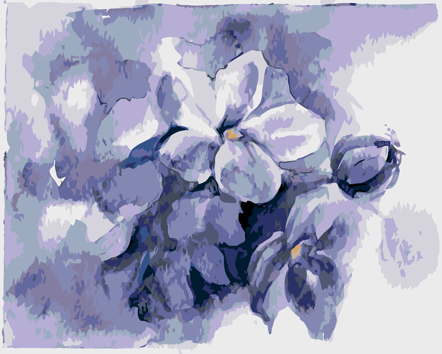 Malování podle čísel - JARNÍ NÁDECH ŠEŘÍKŮ Rozměr: 40x50 cm, Rámování: bez rámu a bez vypnutí plátna