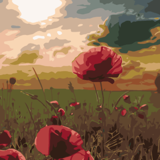 Malování podle čísel - VLČÍ MÁKY A ZÁPAD SLUNCE Rozměr: 40x50 cm, Rámování: bez rámu a bez vypnutí plátna