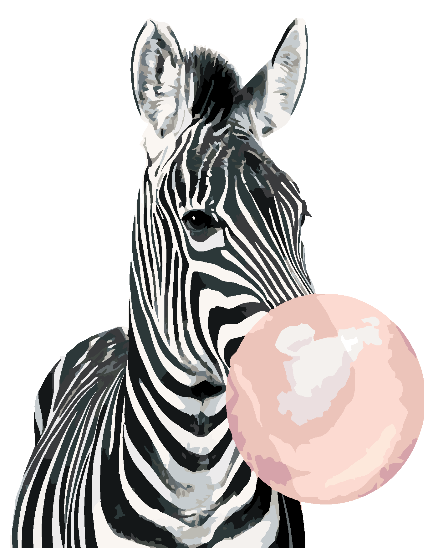 Malování podle čísel - ZEBRA SE ŽVÝKAČKOU Rozměr: 80x100 cm, Rámování: vypnuté plátno na rám