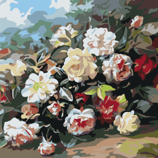 Malování podle čísel - PLANÉ RŮŽE Rozměr: 40x50 cm, Rámování: bez rámu a bez vypnutí plátna