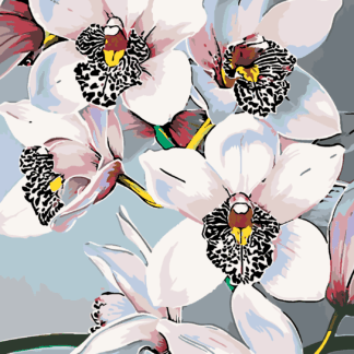 Malování podle čísel - NÁDHERNÉ ORCHIDEJE Rozměr: 80x100 cm, Rámování: vypnuté plátno na rám