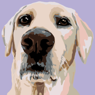 Malování podle čísel - LABRADORSKÝ RETRÍVR Rozměr: 40x50 cm, Rámování: bez rámu a bez vypnutí plátna