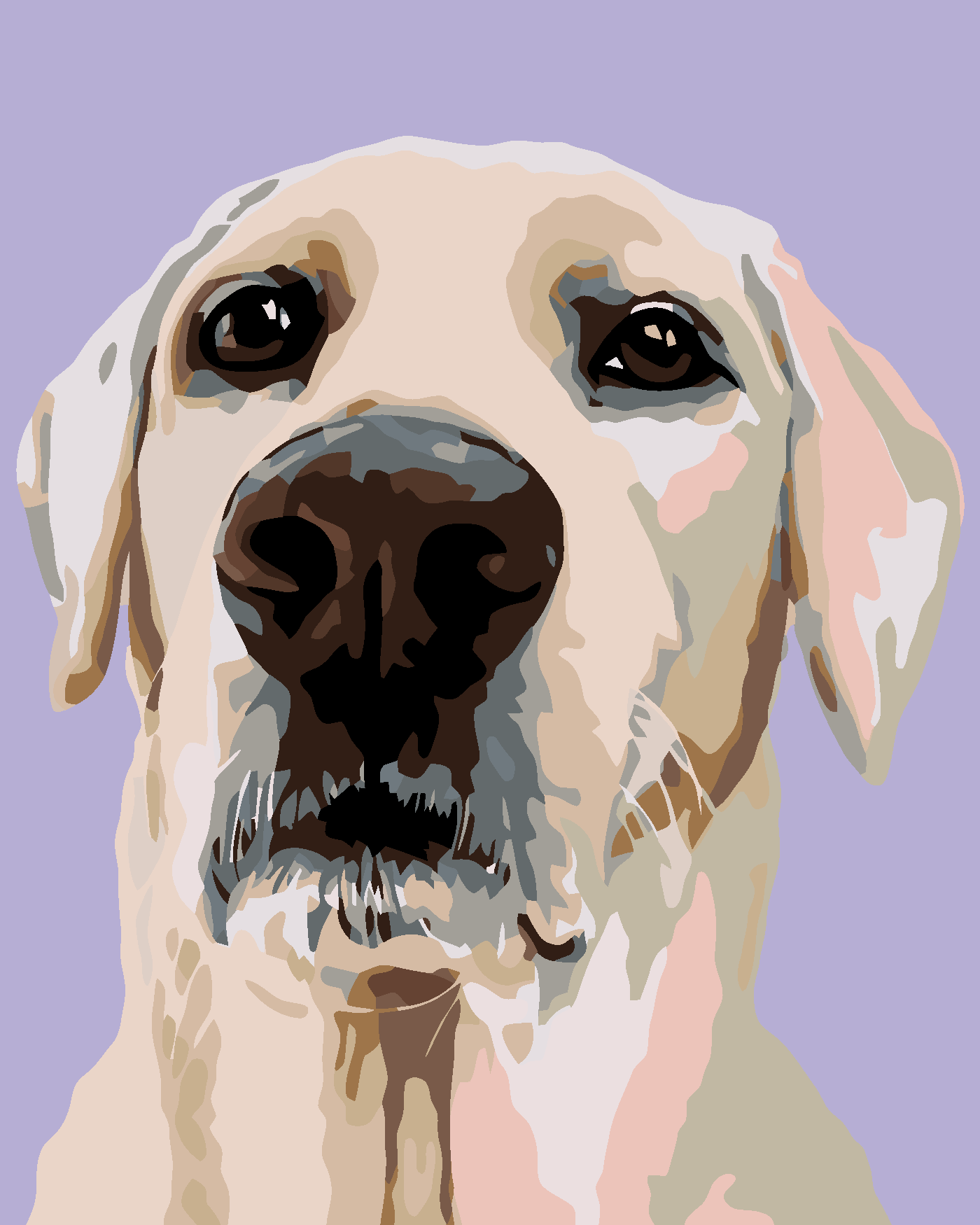 Malování podle čísel - LABRADORSKÝ RETRÍVR Rozměr: 40x50 cm, Rámování: bez rámu a bez vypnutí plátna