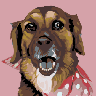 Malování podle čísel - PEJSEK S PUNTÍKATÝM ŠÁTKEM Rozměr: 40x50 cm, Rámování: bez rámu a bez vypnutí plátna