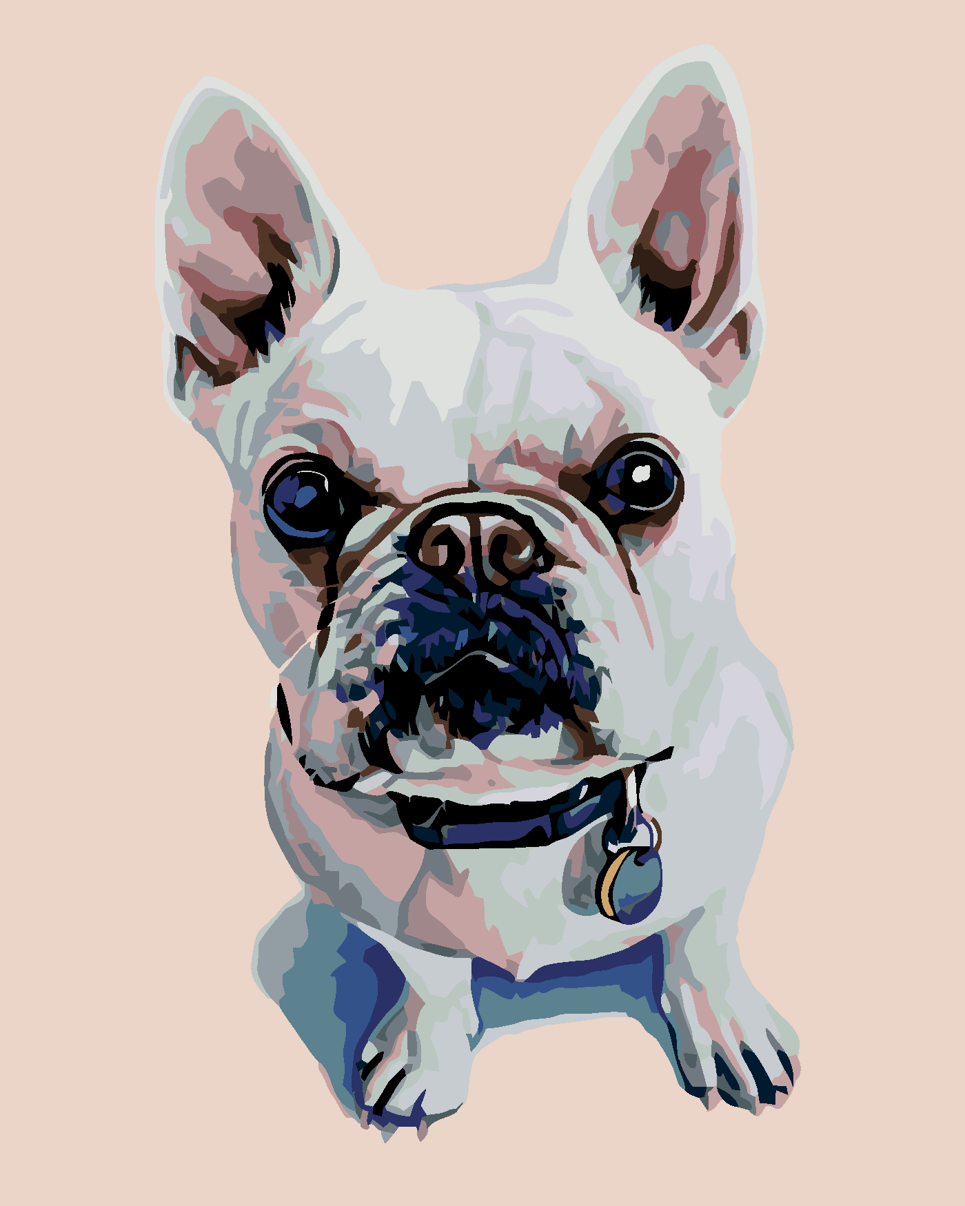 Malování podle čísel - BÍLÝ BULDOČEK S MODRÝM OBOJKEM Rozměr: 40x50 cm, Rámování: bez rámu a bez vypnutí plátna
