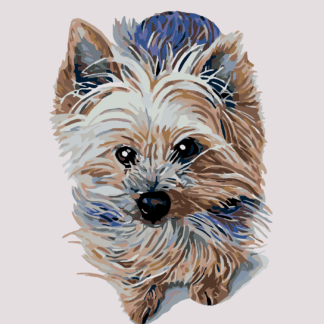 Malování podle čísel - MALÝ JORKŠÍR Rozměr: 80x100 cm, Rámování: vypnuté plátno na rám