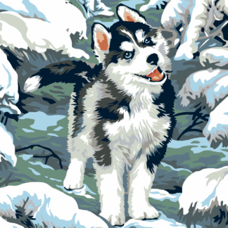 Malování podle čísel - MALÝ HUSKY Rozměr: 80x100 cm, Rámování: bez rámu a bez vypnutí plátna