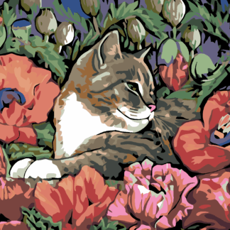 Malování podle čísel - KOTĚ A VLČÍ MÁK Rozměr: 40x50 cm, Rámování: bez rámu a bez vypnutí plátna