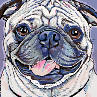 Malování podle čísel - MOPSÍK Rozměr: 80x100 cm, Rámování: vypnuté plátno na rám