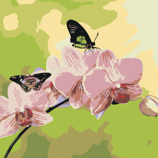 Malování podle čísel - ORCHIDEJ S MOTÝLKY Rozměr: 40x50 cm, Rámování: vypnuté plátno na rám