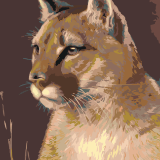 Malování podle čísel - PUMA Rozměr: 40x50 cm, Rámování: bez rámu a bez vypnutí plátna