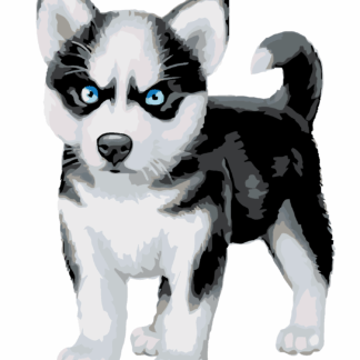Malování podle čísel - MODROOKÝ HUSKY Rozměr: 80x100 cm, Rámování: vypnuté plátno na rám