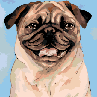Malování podle čísel - HNĚDÝ MOPSÍK Rozměr: 40x50 cm, Rámování: vypnuté plátno na rám