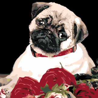 Malování podle čísel - MOPS Rozměr: 40x50 cm, Rámování: bez rámu a bez vypnutí plátna