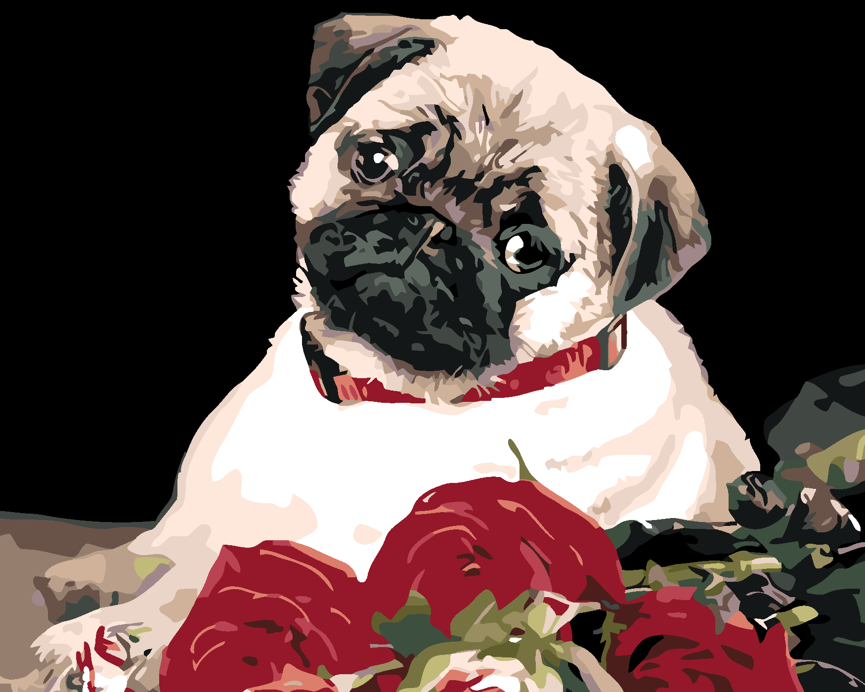 Malování podle čísel - MOPS Rozměr: 40x50 cm, Rámování: bez rámu a bez vypnutí plátna