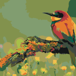 Malování podle čísel - MALÝ BAREVNÝ PTÁČEK SE ŠPIČATÝM ZOBÁKEM Rozměr: 40x50 cm, Rámování: bez rámu a bez vypnutí plátna